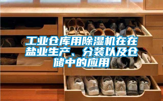工業(yè)倉(cāng)庫(kù)用除濕機(jī)在在鹽業(yè)生產(chǎn)、分裝以及倉(cāng)儲(chǔ)中的應(yīng)用