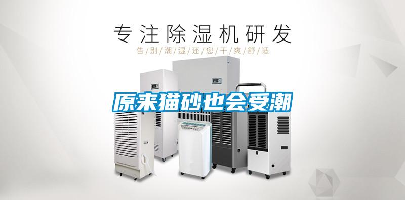 原來貓砂也會受潮