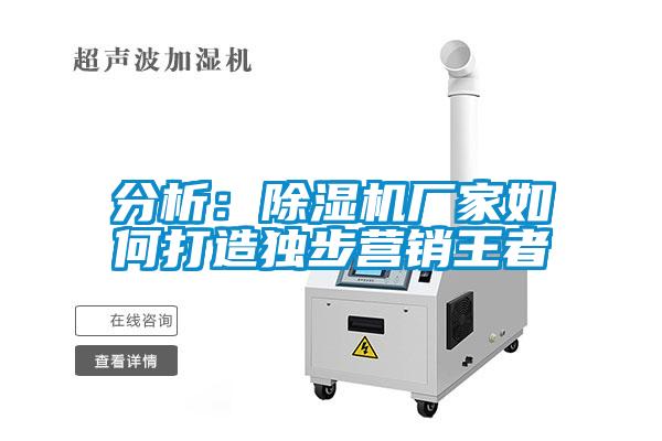 分析：除濕機廠家如何打造獨步營銷王者