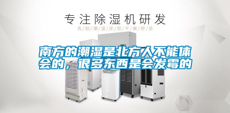 南方的潮濕是北方人不能體會的，很多東西是會發霉的