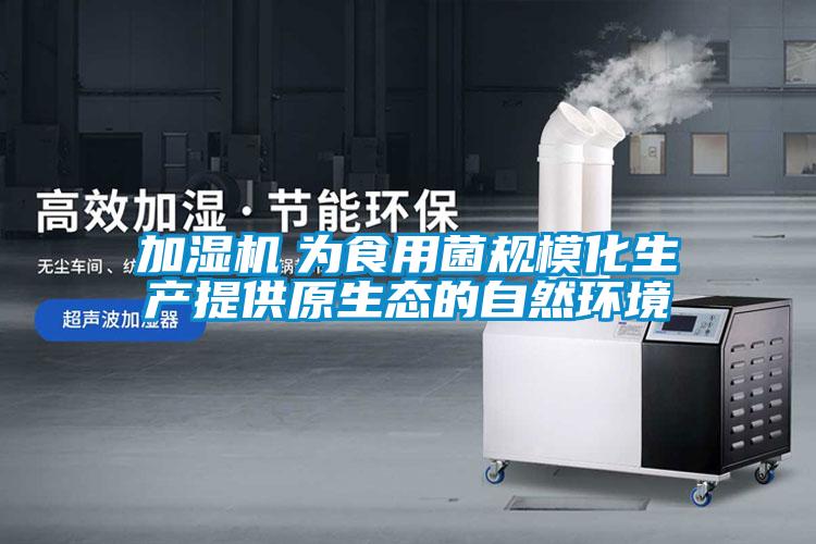加濕機 為食用菌規模化生產提供原生態的自然環境
