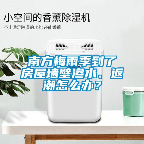 南方梅雨季到了房屋墻壁滲水、返潮怎么辦？