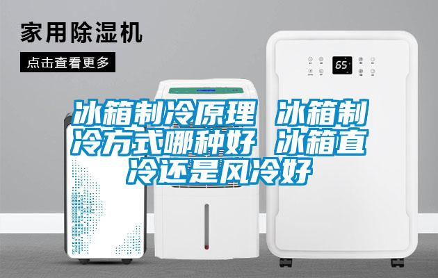 冰箱制冷原理 冰箱制冷方式哪種好 冰箱直冷還是風冷好