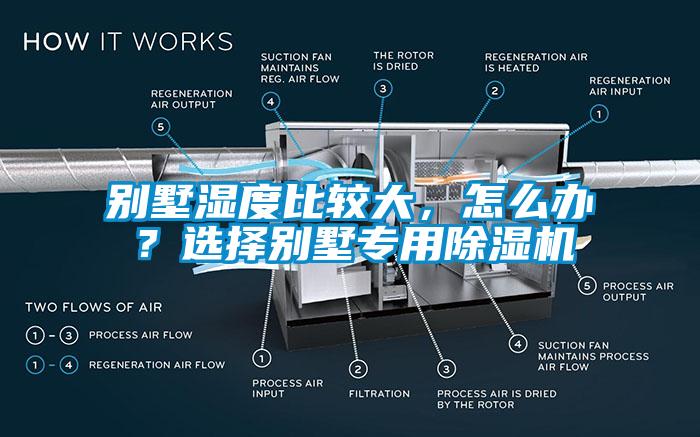 別墅濕度比較大，怎么辦？選擇別墅專用除濕機