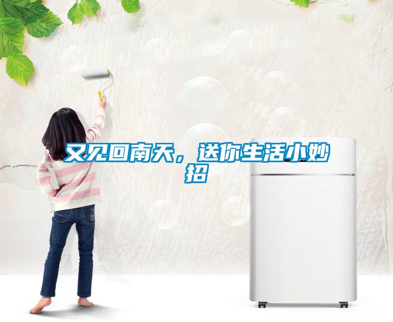 又見回南天，送你生活小妙招