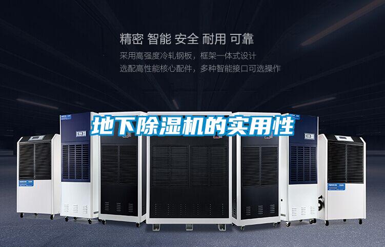 地下除濕機(jī)的實(shí)用性