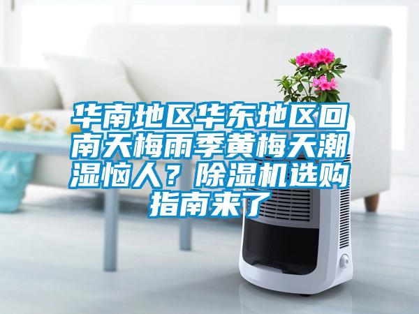 華南地區華東地區回南天梅雨季黃梅天潮濕惱人？除濕機選購指南來了