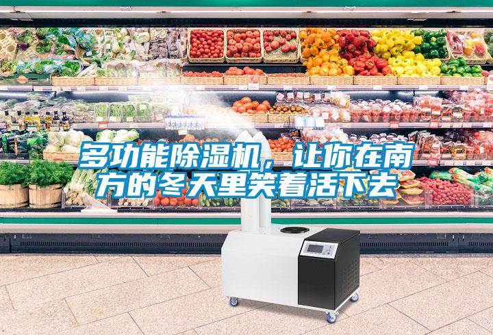 多功能除濕機，讓你在南方的冬天里笑著活下去
