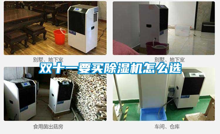 雙十一要買除濕機怎么選