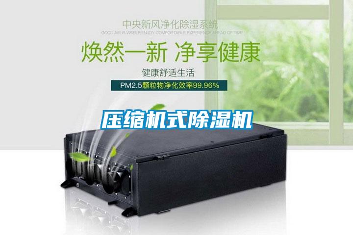 壓縮機式除濕機