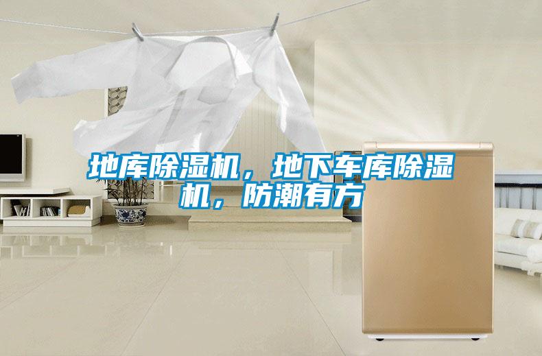 地庫除濕機(jī)，地下車庫除濕機(jī)，防潮有方