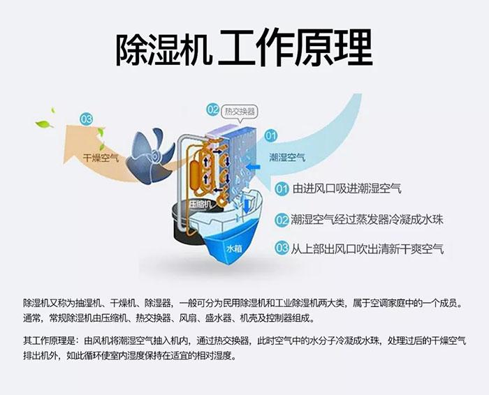 安詩曼工業除濕機：讓藥品倉庫遠離潮濕的困擾