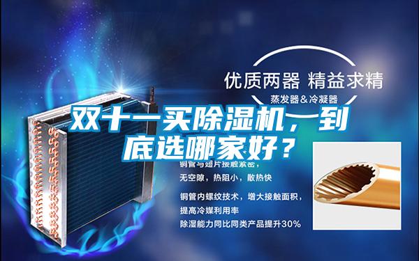 雙十一買除濕機(jī)，到底選哪家好？
