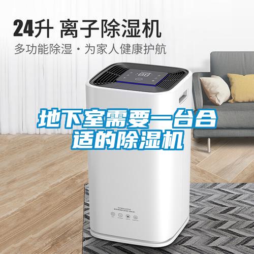 地下室需要一臺合適的除濕機