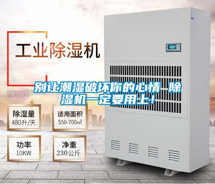 別讓潮濕破壞你的心情 除濕機一定要用上！