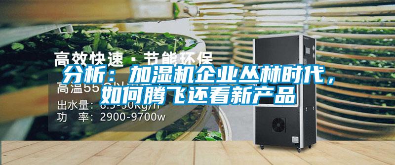 分析：加濕機(jī)企業(yè)叢林時代，如何騰飛還看新產(chǎn)品