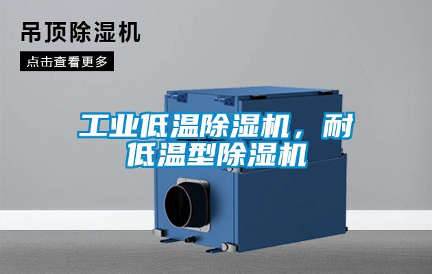 工業低溫除濕機，耐低溫型除濕機