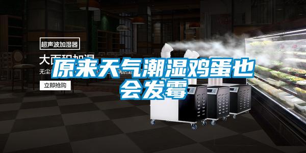原來天氣潮濕雞蛋也會發霉