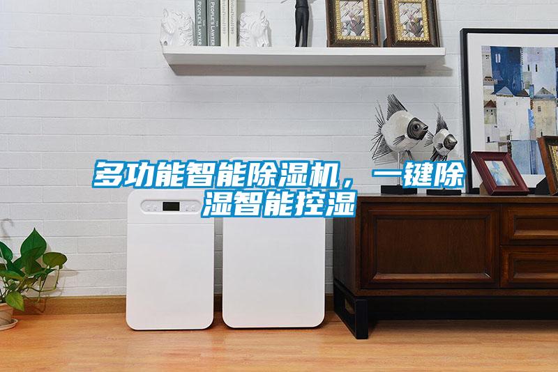 多功能智能除濕機，一鍵除濕智能控濕