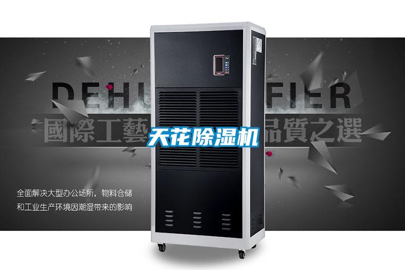 天花除濕機