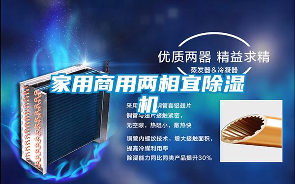 家用商用兩相宜除濕機(jī)