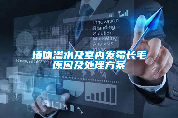 墻體滲水及室內發霉長毛原因及處理方案