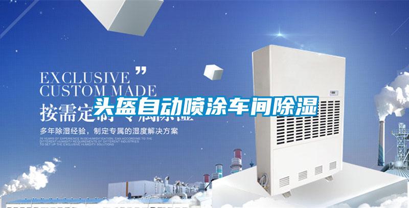 頭盔自動(dòng)噴涂車間除濕