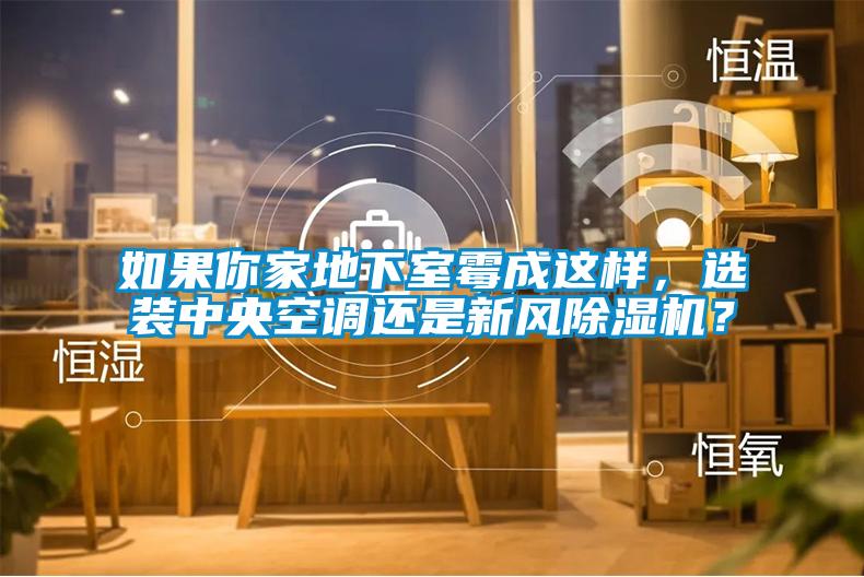 如果你家地下室霉成這樣，選裝中央空調還是新風除濕機？
