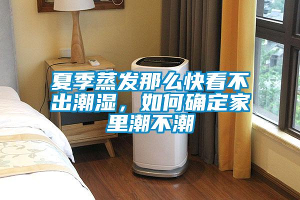 夏季蒸發那么快看不出潮濕，如何確定家里潮不潮