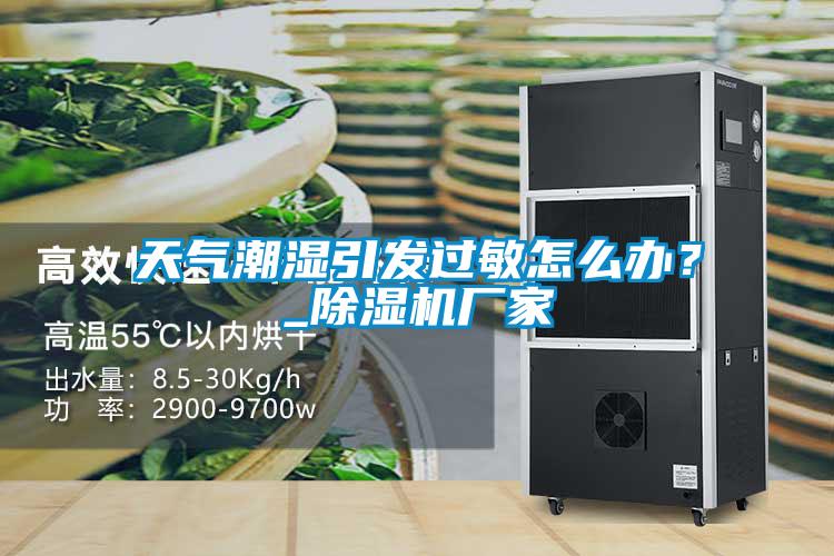 天氣潮濕引發(fā)過敏怎么辦？_除濕機(jī)廠家