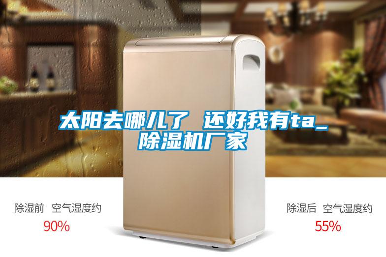 太陽去哪兒了 還好我有ta_除濕機廠家