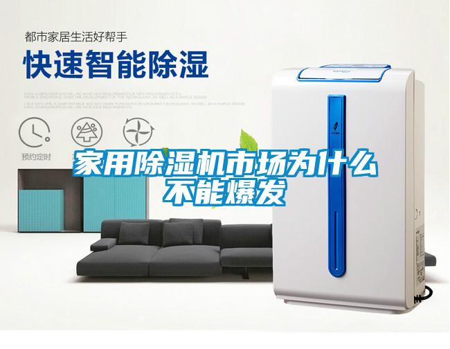 家用除濕機市場為什么不能爆發