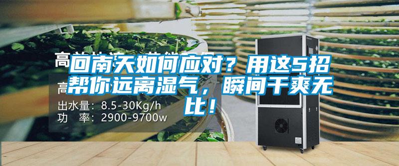 回南天如何應對？用這5招幫你遠離濕氣，瞬間干爽無比！