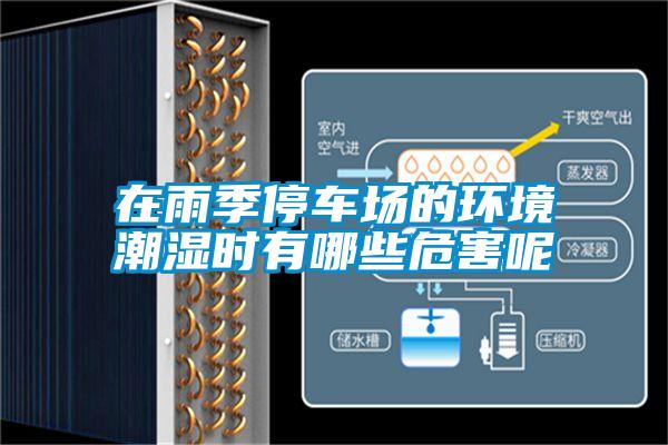 在雨季停車場的環(huán)境潮濕時(shí)有哪些危害呢