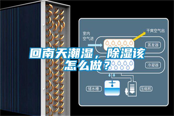 回南天潮濕，除濕該怎么做？