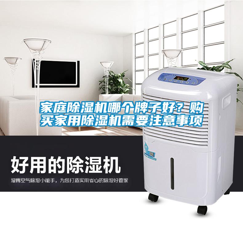 家庭除濕機哪個牌子好?購買家用除濕機需要注意事項