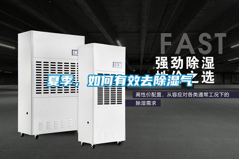 夏季，如何有效去除濕氣