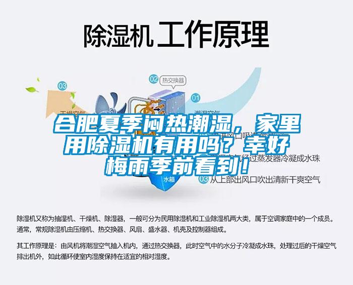 合肥夏季悶熱潮濕，家里用除濕機有用嗎？幸好梅雨季前看到！