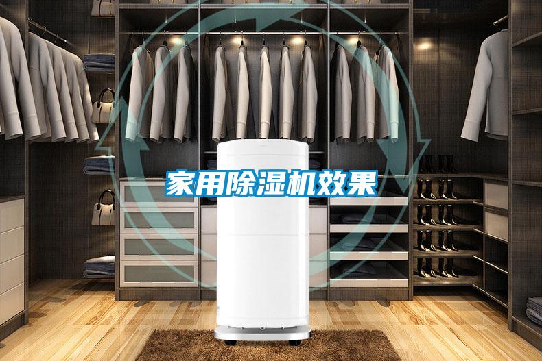 家用除濕機效果