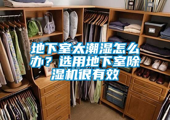 地下室太潮濕怎么辦？選用地下室除濕機很有效