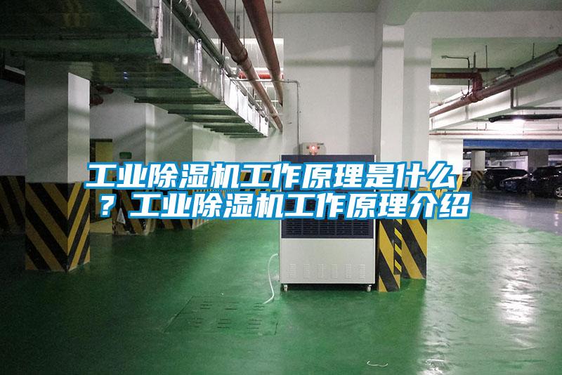 工業除濕機工作原理是什么 ？工業除濕機工作原理介紹