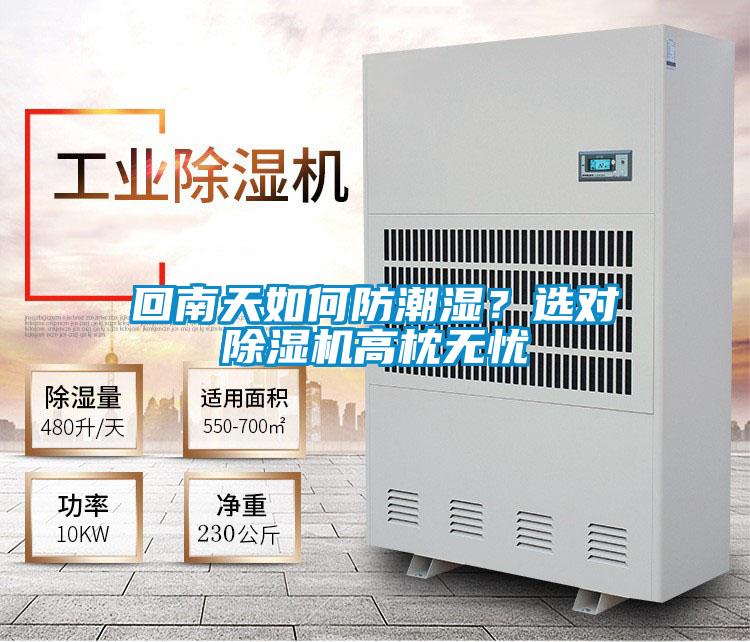 回南天如何防潮濕？選對除濕機高枕無憂