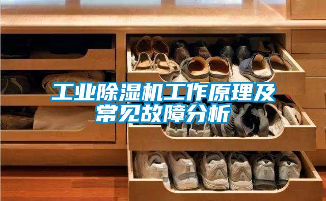 工業(yè)除濕機工作原理及常見故障分析