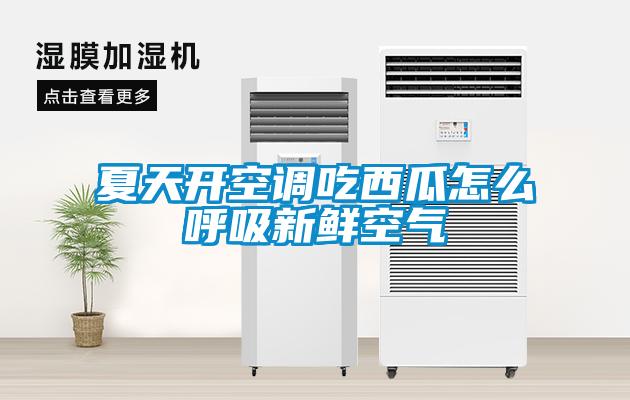 夏天開空調吃西瓜怎么呼吸新鮮空氣