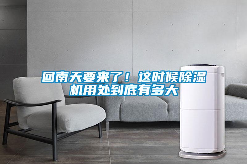 回南天要來了！這時候除濕機用處到底有多大