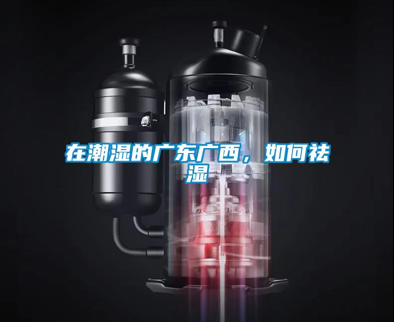 在潮濕的廣東廣西，如何祛濕