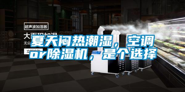 夏天悶熱潮濕，空調or除濕機，是個選擇