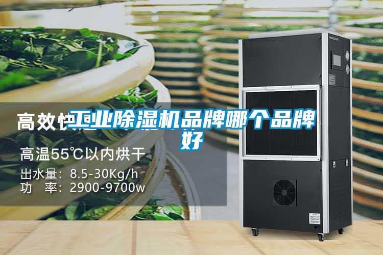 工業(yè)除濕機(jī)品牌哪個品牌好