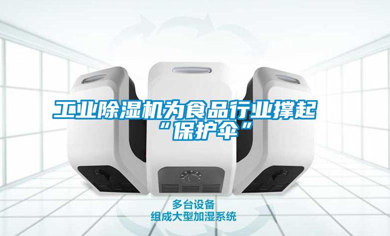 工業(yè)除濕機為食品行業(yè)撐起“保護傘”