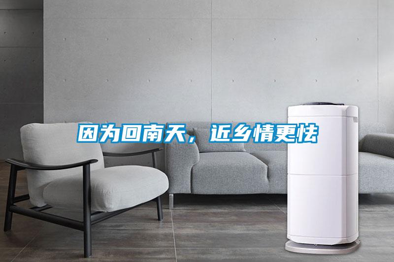 因為回南天，近鄉情更怯